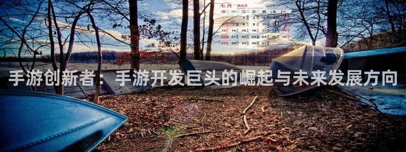 摩根娱乐app下载安装苹果：手游创新者：手游开发巨头的崛起与
