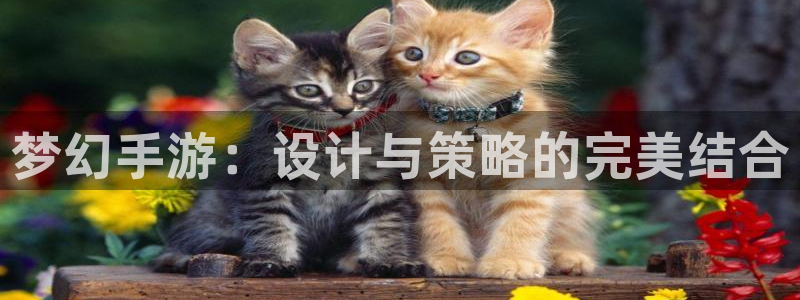 摩根娱乐是个什么平台啊多少钱：梦幻手游：设计与策略的完美结合