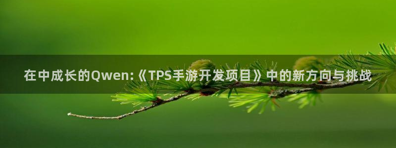 摩根娱乐挂机项目怎么样：在中成长的Qwen:《TPS手游开发