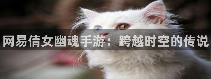 摩根娱乐是正规合法的吗知乎：网易倩女幽魂手游：跨越时空的传说