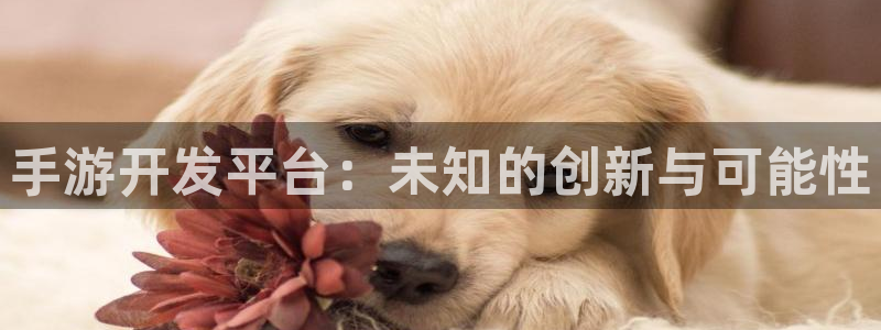 摩根娱乐是什么：手游开发平台：未知的创新与可能性